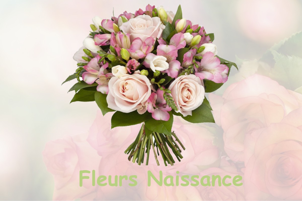 fleurs naissance SAINT-GEORGES-D-AURAC